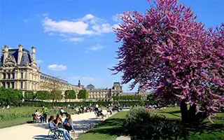 Париж: магия французской столицы весной